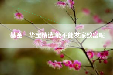 基金一华宝精选,能不能发家致富呢