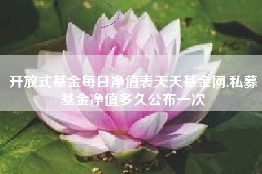 开放式基金每日净值表天天基金网,私募基金净值多久公布一次