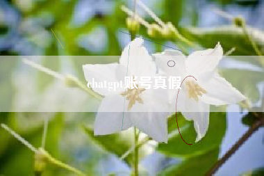 chatgpt账号真假