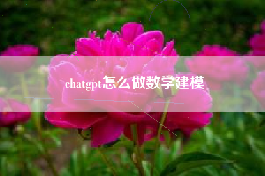 chatgpt怎么做数学建模