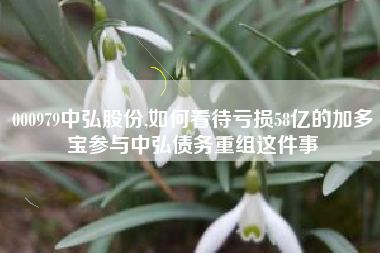 000979中弘股份,如何看待亏损58亿的加多宝参与中弘债务重组这件事
