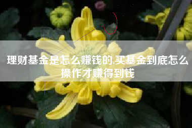 理财基金是怎么赚钱的,买基金到底怎么操作才赚得到钱