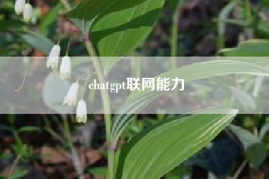 chatgpt联网能力