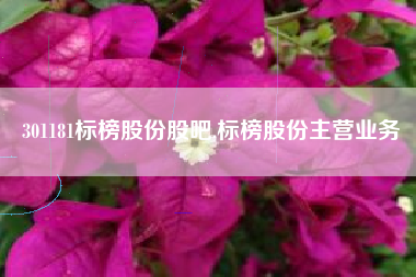 301181标榜股份股吧,标榜股份主营业务