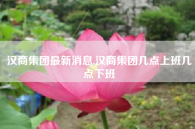 汉商集团最新消息,汉商集团几点上班几点下班