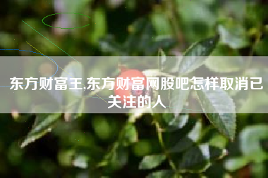东方财富王,东方财富网股吧怎样取消已关注的人
