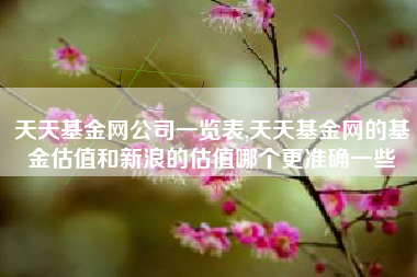 天天基金网公司一览表,天天基金网的基金估值和新浪的估值哪个更准确一些