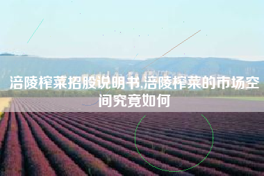 涪陵榨菜招股说明书,涪陵榨菜的市场空间究竟如何