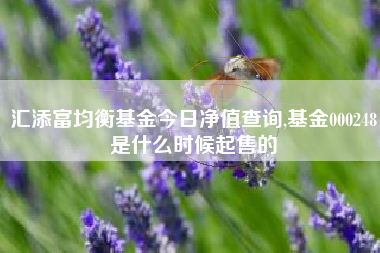 汇添富均衡基金今日净值查询,基金000248是什么时候起售的
