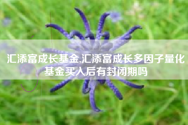 汇添富成长基金,汇添富成长多因子量化基金买入后有封闭期吗
