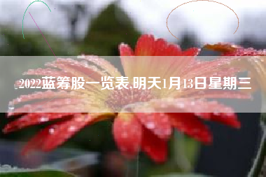 2022蓝筹股一览表,明天1月13日星期三