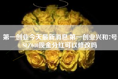 第一创业今天最新消息,第一创业兴和7号SLZ040现金分红可以修改吗