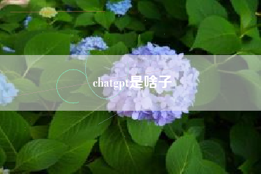 chatgpt是啥子