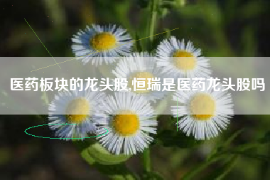 医药板块的龙头股,恒瑞是医药龙头股吗