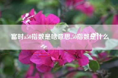 富时a50指数是啥意思,50指数是什么
