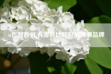 st仁智股份,有哪些比较好的国潮品牌