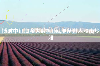 博时中证淘金大数据100a,准备进入股市炒股