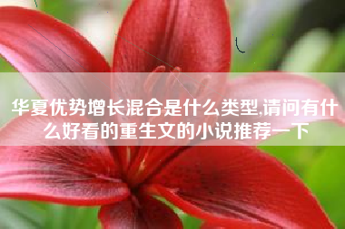 华夏优势增长混合是什么类型,请问有什么好看的重生文的小说推荐一下