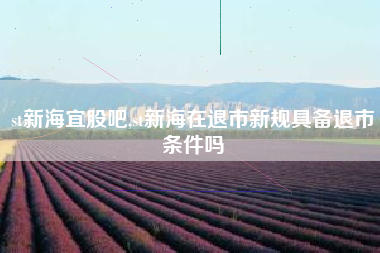 st新海宜股吧,st新海在退市新规具备退市条件吗