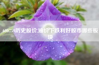 600759历史股价,油价下跌利好股市哪些板块