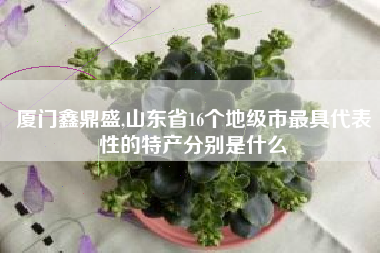 厦门鑫鼎盛,山东省16个地级市最具代表性的特产分别是什么