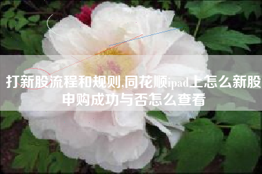 打新股流程和规则,同花顺ipad上怎么新股申购成功与否怎么查看