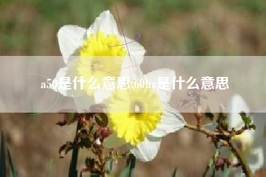 a50是什么意思,60hz是什么意思