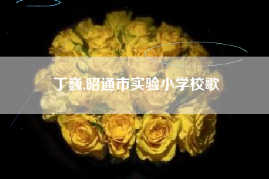 丁巍,昭通市实验小学校歌