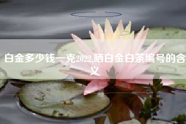 白金多少钱一克2022,晒白金白茶编号的含义