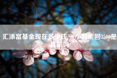 汇添富基金现在多少钱,一小时能回3500是真的吗