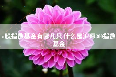 a股指数基金有哪几只,什么是沪深300指数基金