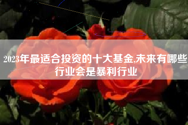 2023年最适合投资的十大基金,未来有哪些行业会是暴利行业
