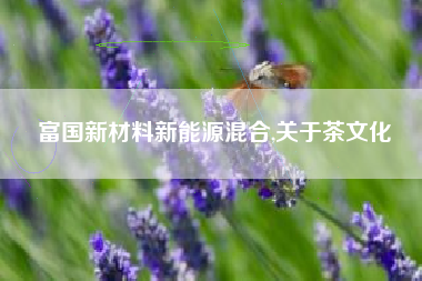 富国新材料新能源混合,关于茶文化
