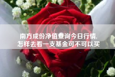 南方成份净值查询今日行情,
怎样去看一支基金可不可以买 南方成份净值查询今日行情,
怎样去看一支基金可不可以买