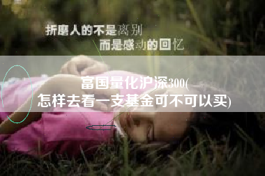 富国量化沪深300(
怎样去看一支基金可不可以买) 富国量化沪深300(
怎样去看一支基金可不可以买)