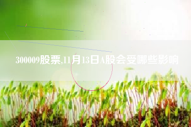 300009股票,11月13日A股会受哪些影响