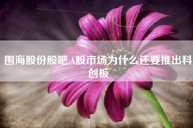 围海股份股吧,A股市场为什么还要推出科创板