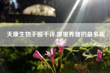 天康生物千股千评,哪里养猪的最多呢
