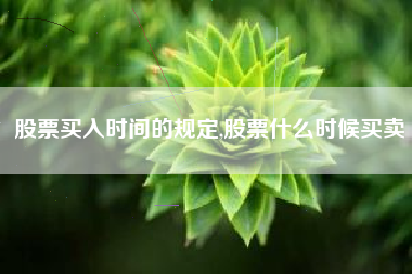股票买入时间的规定,股票什么时候买卖