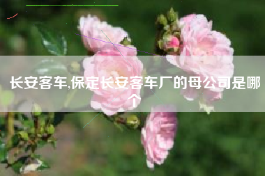 长安客车,保定长安客车厂的母公司是哪个