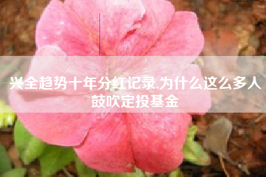 兴全趋势十年分红记录,为什么这么多人鼓吹定投基金