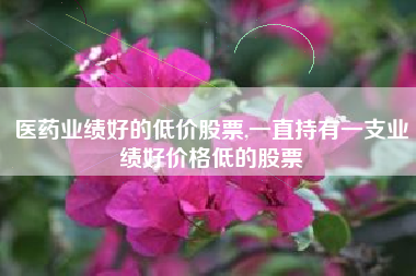 医药业绩好的低价股票,一直持有一支业绩好价格低的股票