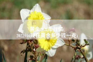 黄金2022年行情(
2022916现在黄金多少钱一克) 黄金2022年行情(
2022916现在黄金多少钱一克)