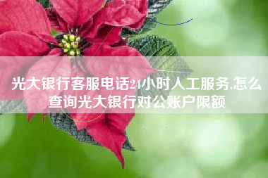 光大银行客服电话24小时人工服务,怎么查询光大银行对公账户限额