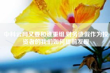 中科云网又要和谁重组,财务造假作为投资者的我们如何提前发现