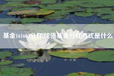 基金161601分红,纯债基金分红方式是什么