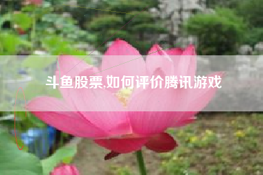 斗鱼股票,如何评价腾讯游戏
