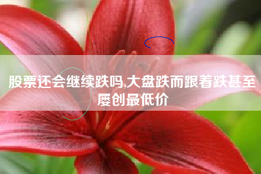 股票还会继续跌吗,大盘跌而跟着跌甚至屡创最低价