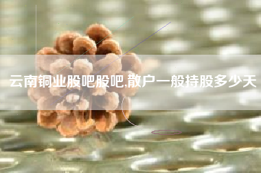 云南铜业股吧股吧,散户一般持股多少天