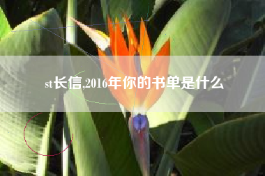 st长信,2016年你的书单是什么